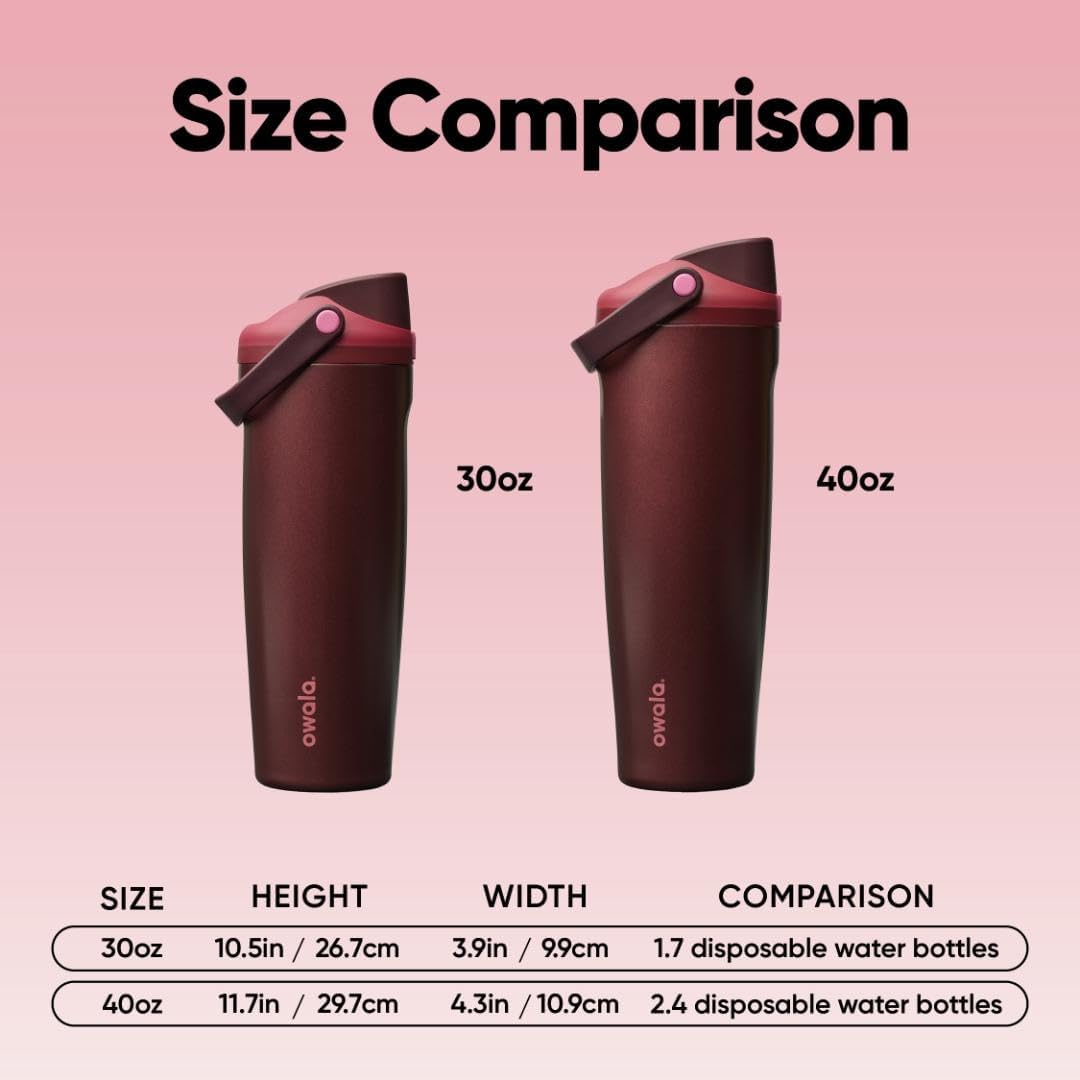Stainless Steel Water Bottle