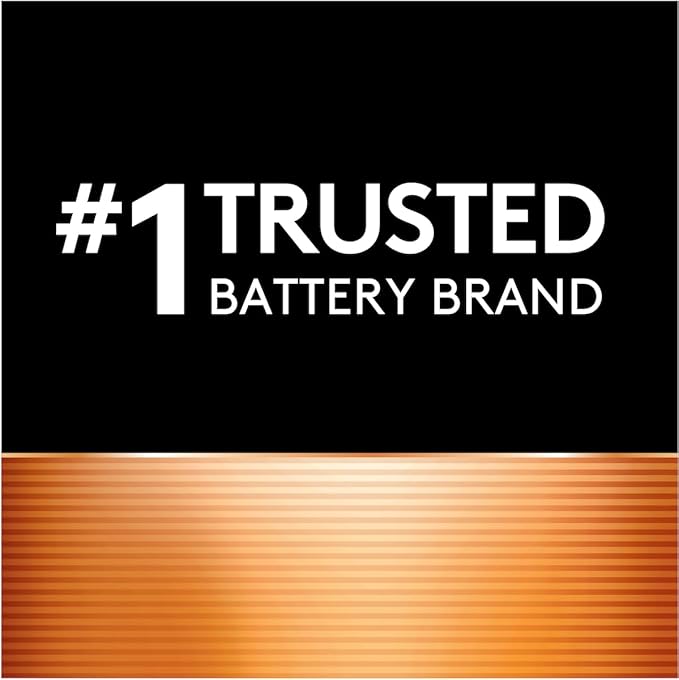 AA Batteries