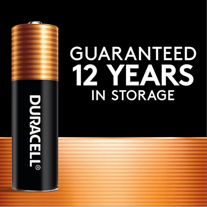 AA Batteries