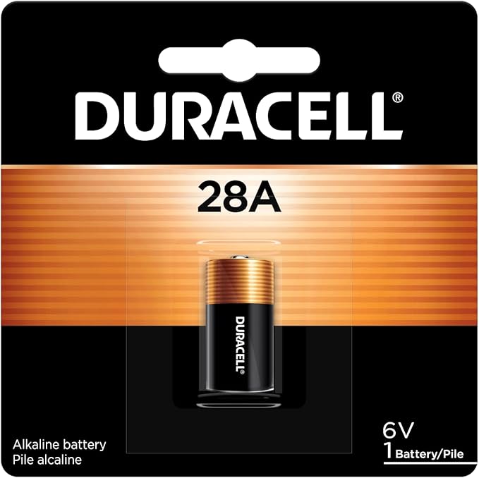 Professional 1667x SD Card