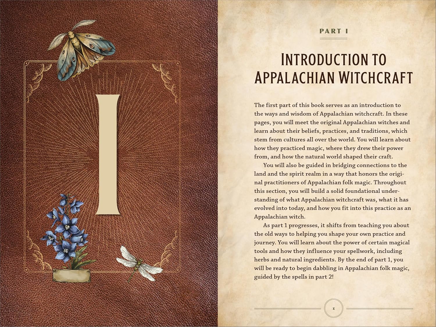 Appalachian Witchcraft for Beginners