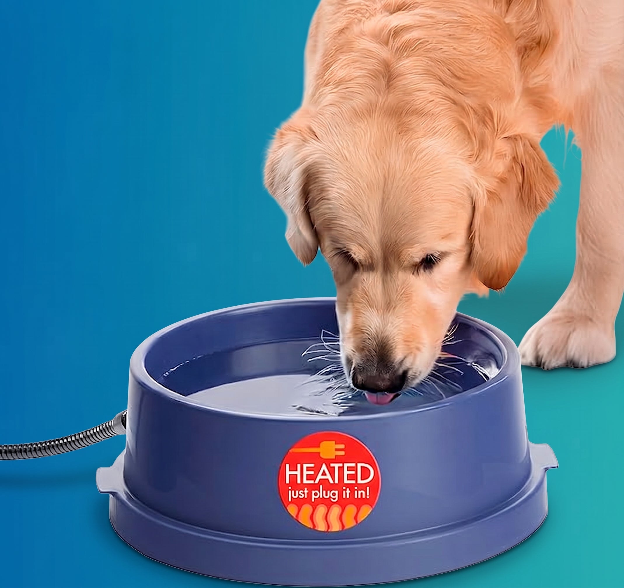 Thermal-Bowl Heated Water Bowl for Cats & Dogs