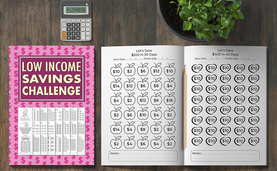 Low Income Savings Challenge Book