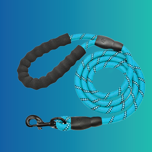 Dog Leash